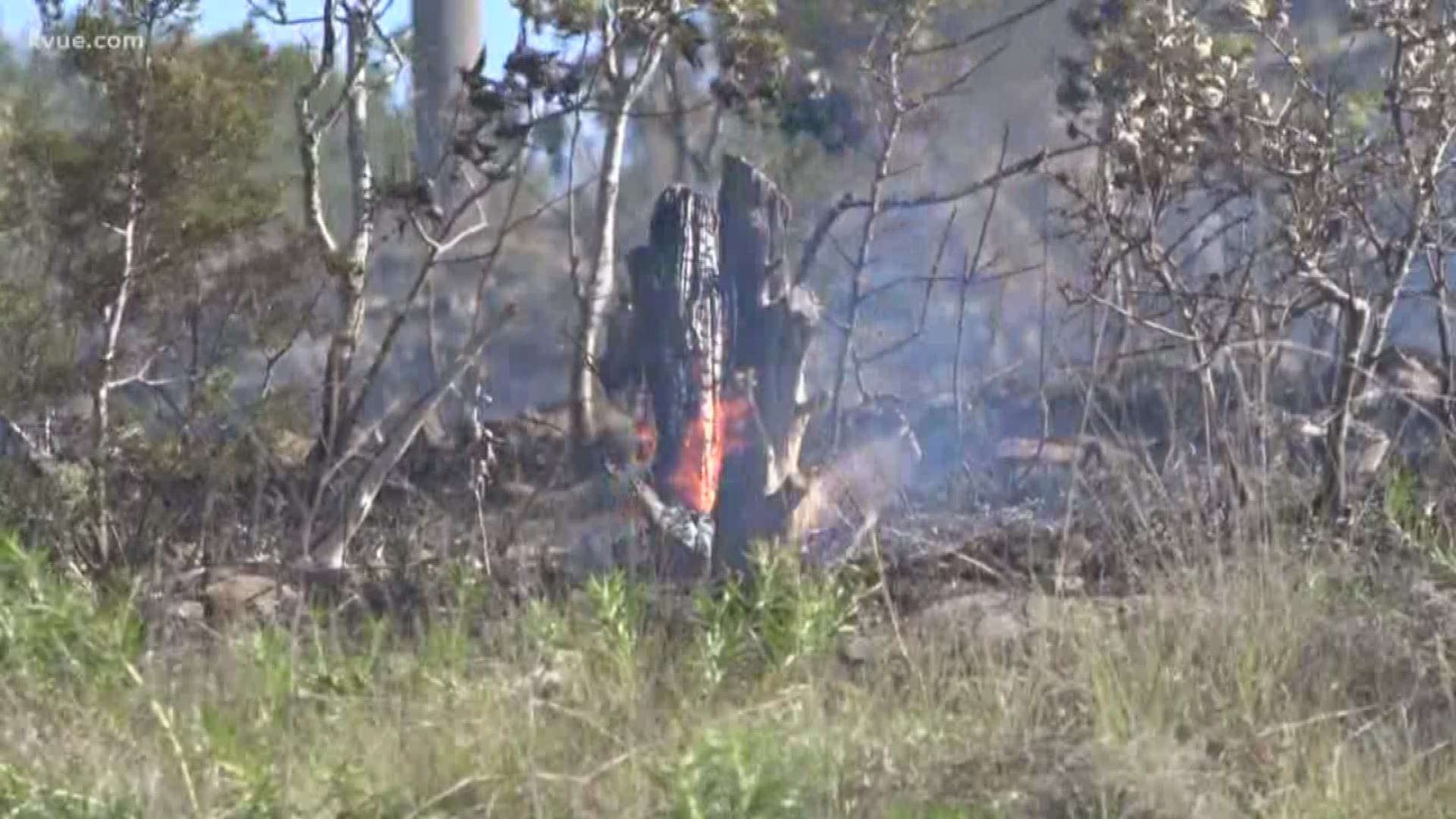 Firefighters stopped a large brush fire from spreading Sunday in western Travis County.
