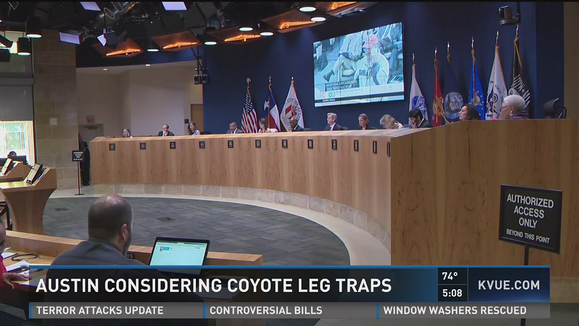 Austin considering new coyote regulation rules