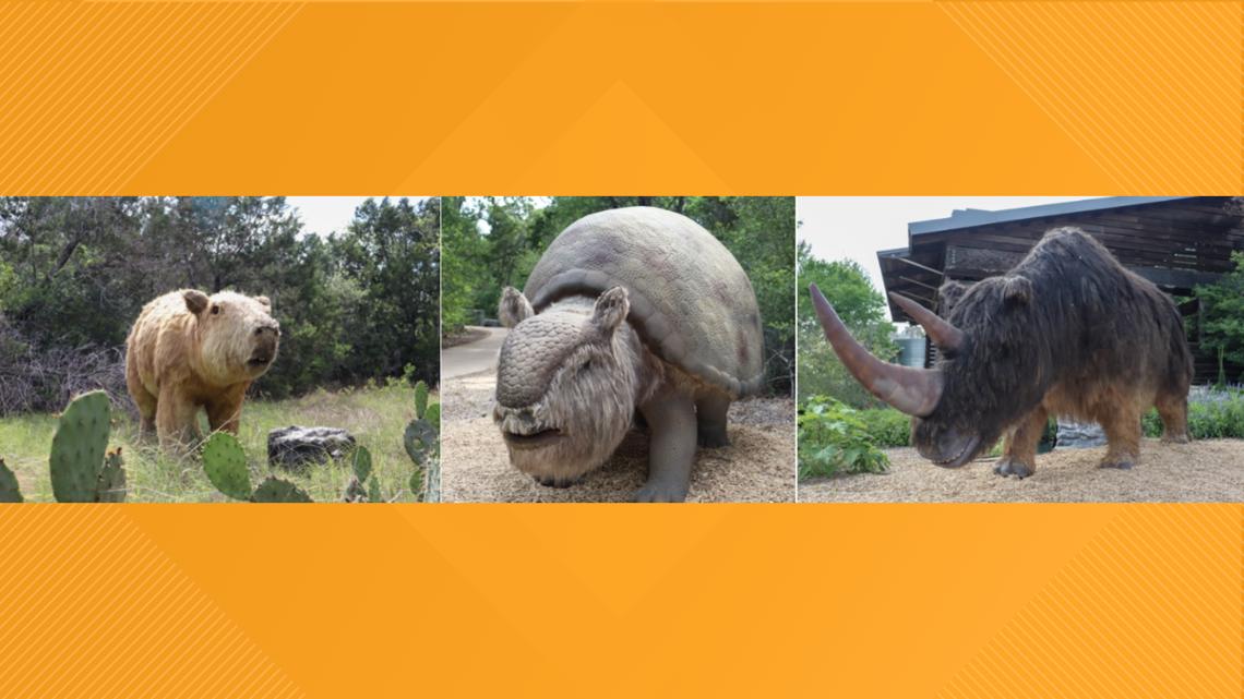Animals from ice age to be featured in exhibit at LBJ Wildflower Center ...
