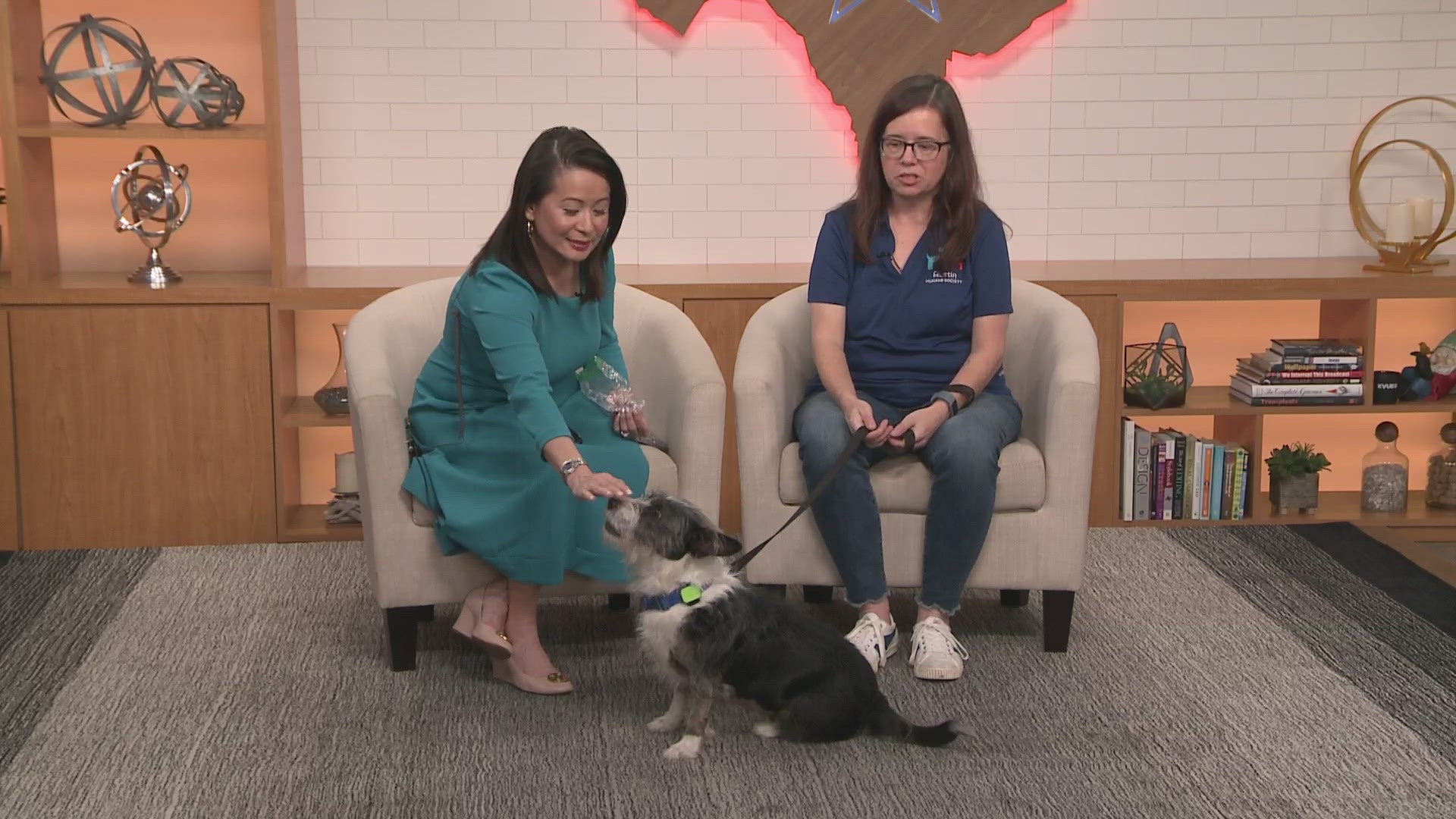 Every Friday on KVUE Midday, we introduce you to a local dog available for adoption.
