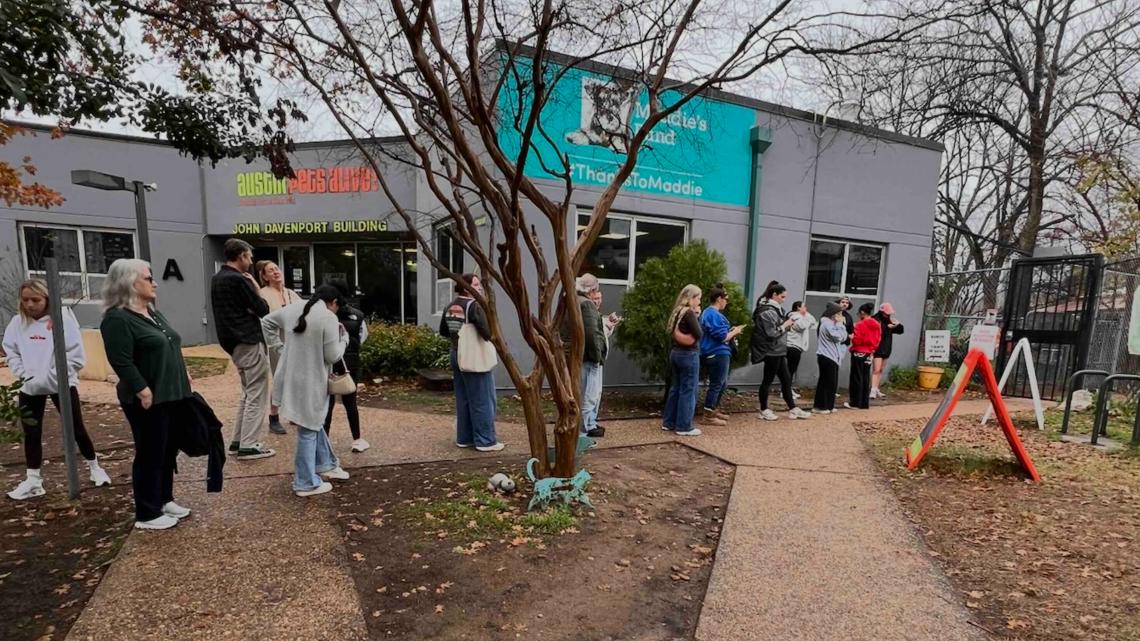 Austin Pets Alive! nearly empties its shelters ahead of winter storm