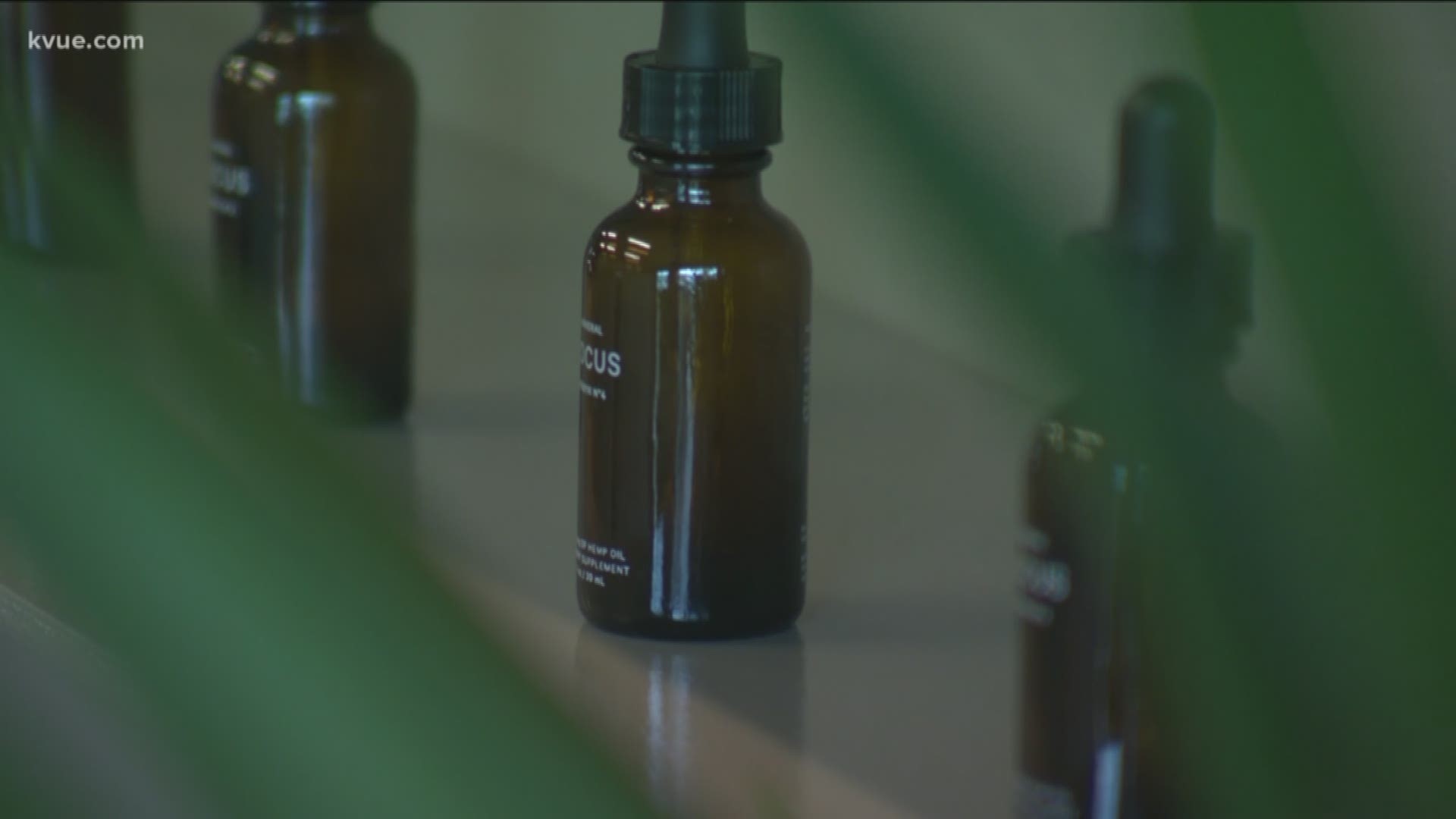 Hank Cavagnaro tells us how the hemp industry could soon be booming in Texas.