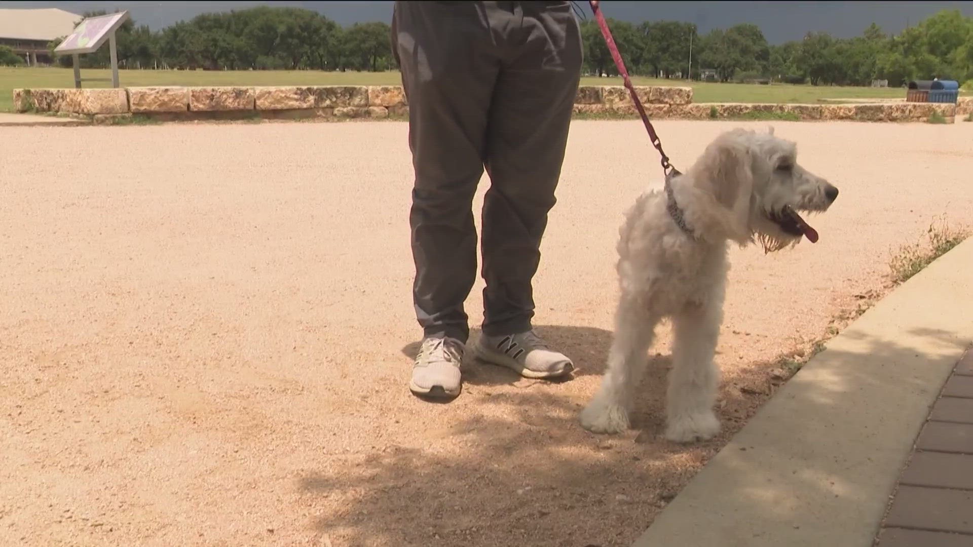 With triple-digit temperatures sticking around, KVUE has some tips on how to keep your animals safe in the summer heat.