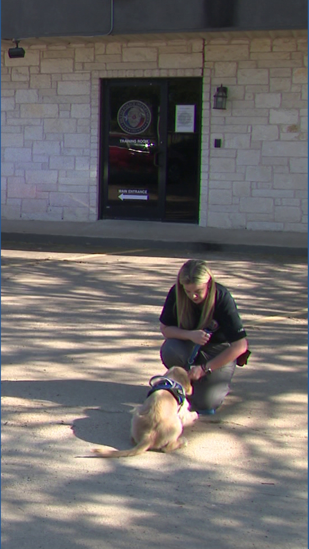 Hutto's first K9 crisis dog prepares to assist in mental health calls ...