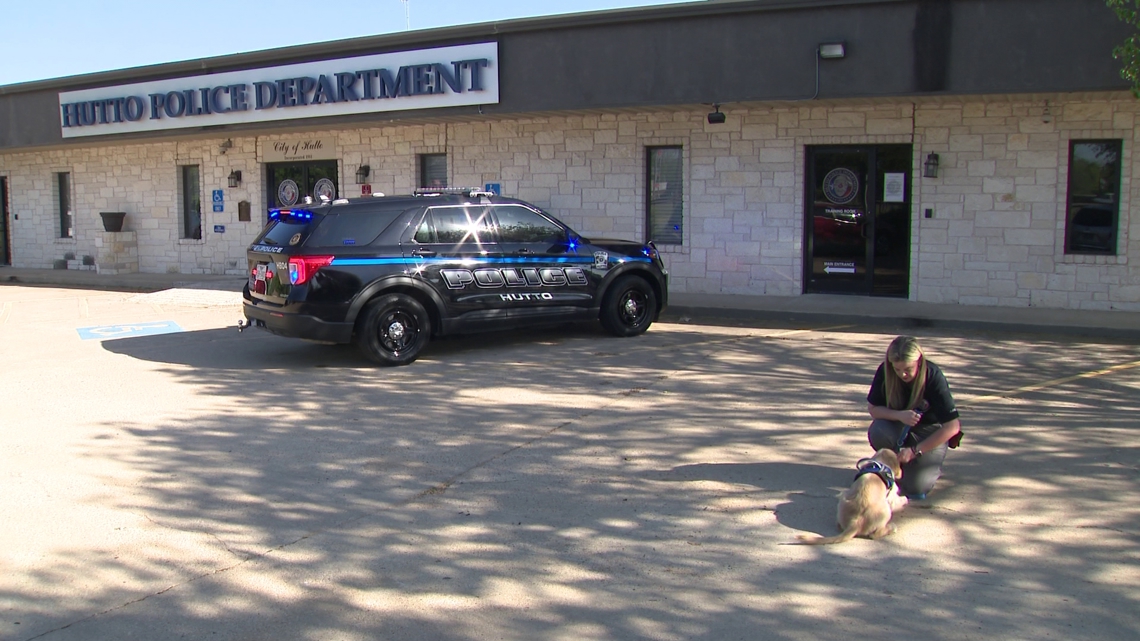 Hutto's first K-9 crisis dog prepares to assist in mental health calls
