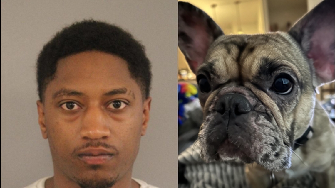 Man arrested after shooting man, stealing his French bulldog in Austin ...
