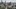 Austin rounds out most expensive place to rent Airbnb