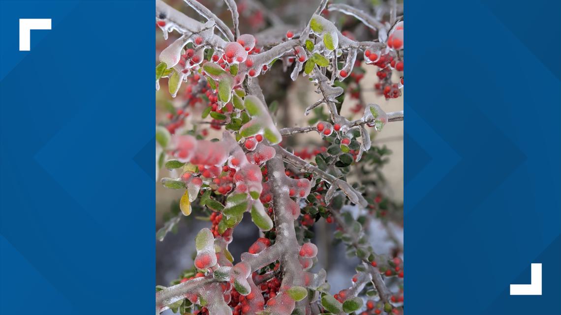 PHOTOS: A look at your pictures as snow blankets Central Texas | kvue.com