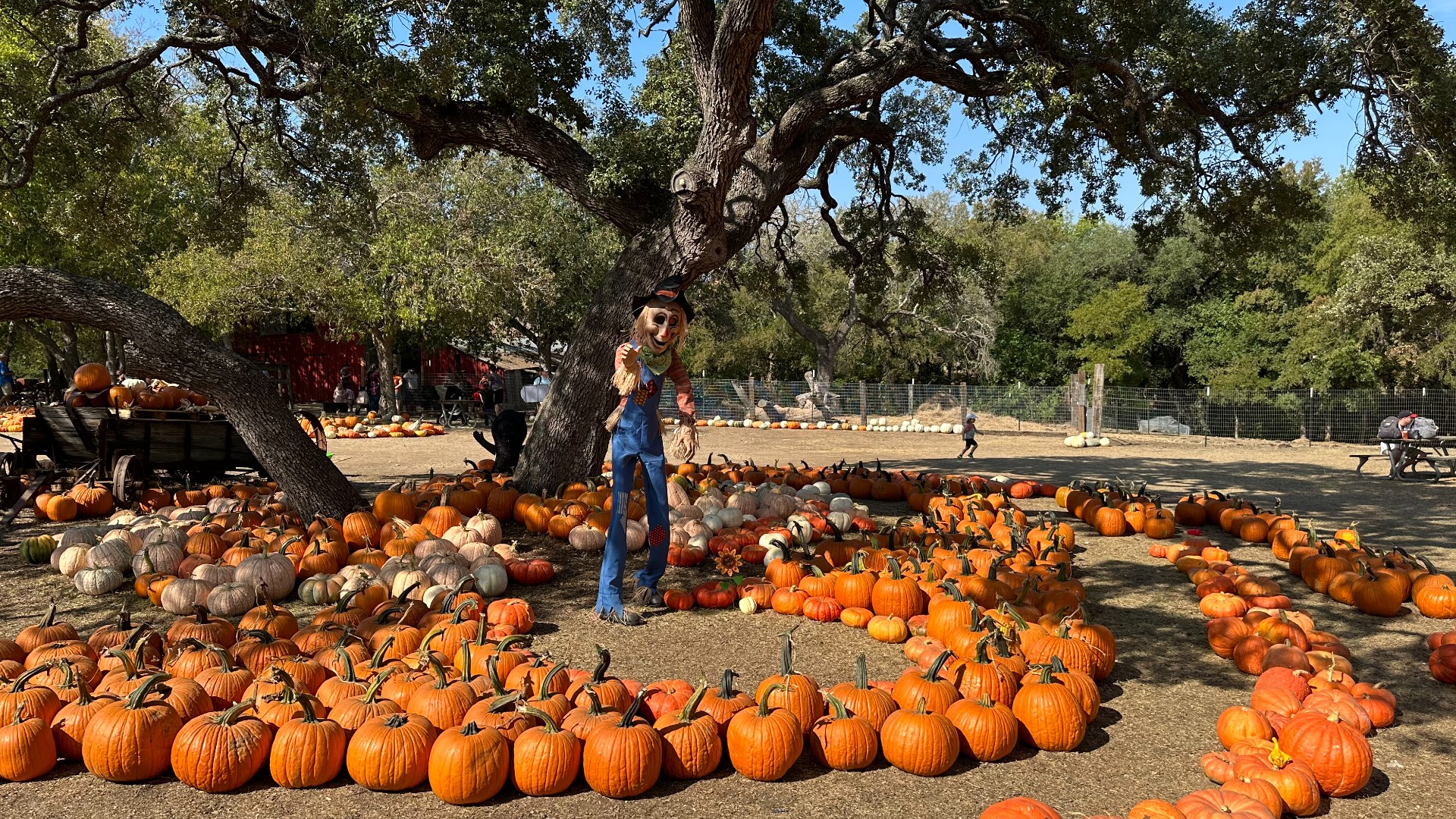 Attendees can experience hay rides, face painting, a corn pit and more at Old Settlers Park.