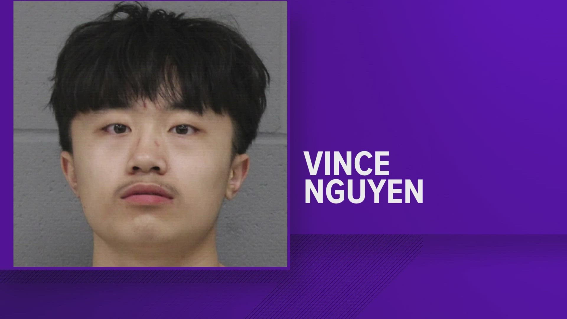 Vince Nguyen has been charged with two felonies and a misdemeanor.