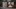 Who was Gloria Lofton? Raul Meza Jr. accused of 2019 murder