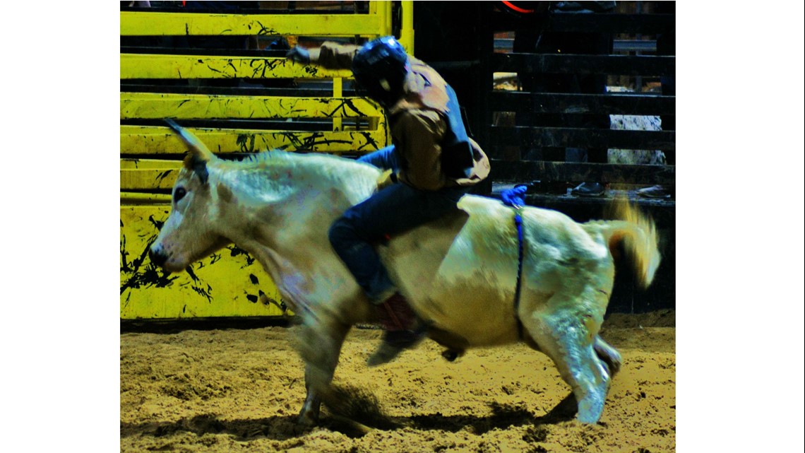 Texas bull rider dies in zip-lining accident | kvue.com