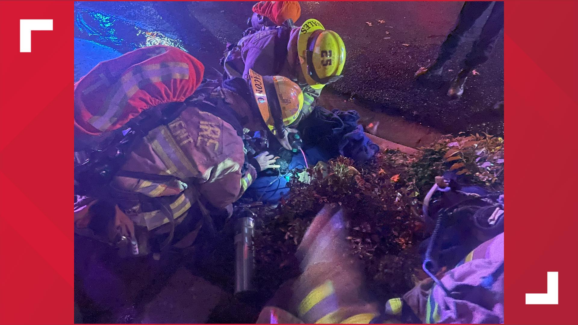 9 out of 10 puppies saved from northwest Austin house fire | kvue.com