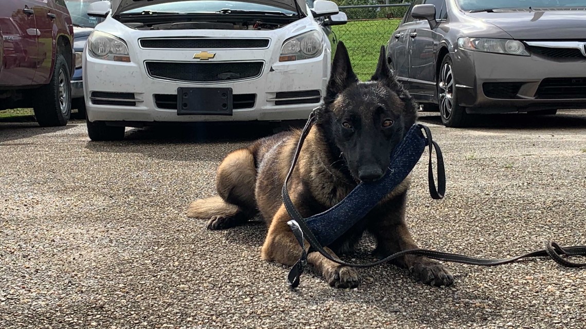 Large illegal drug seizures 'have definitely picked up' in Central Texas - Vimarsana News