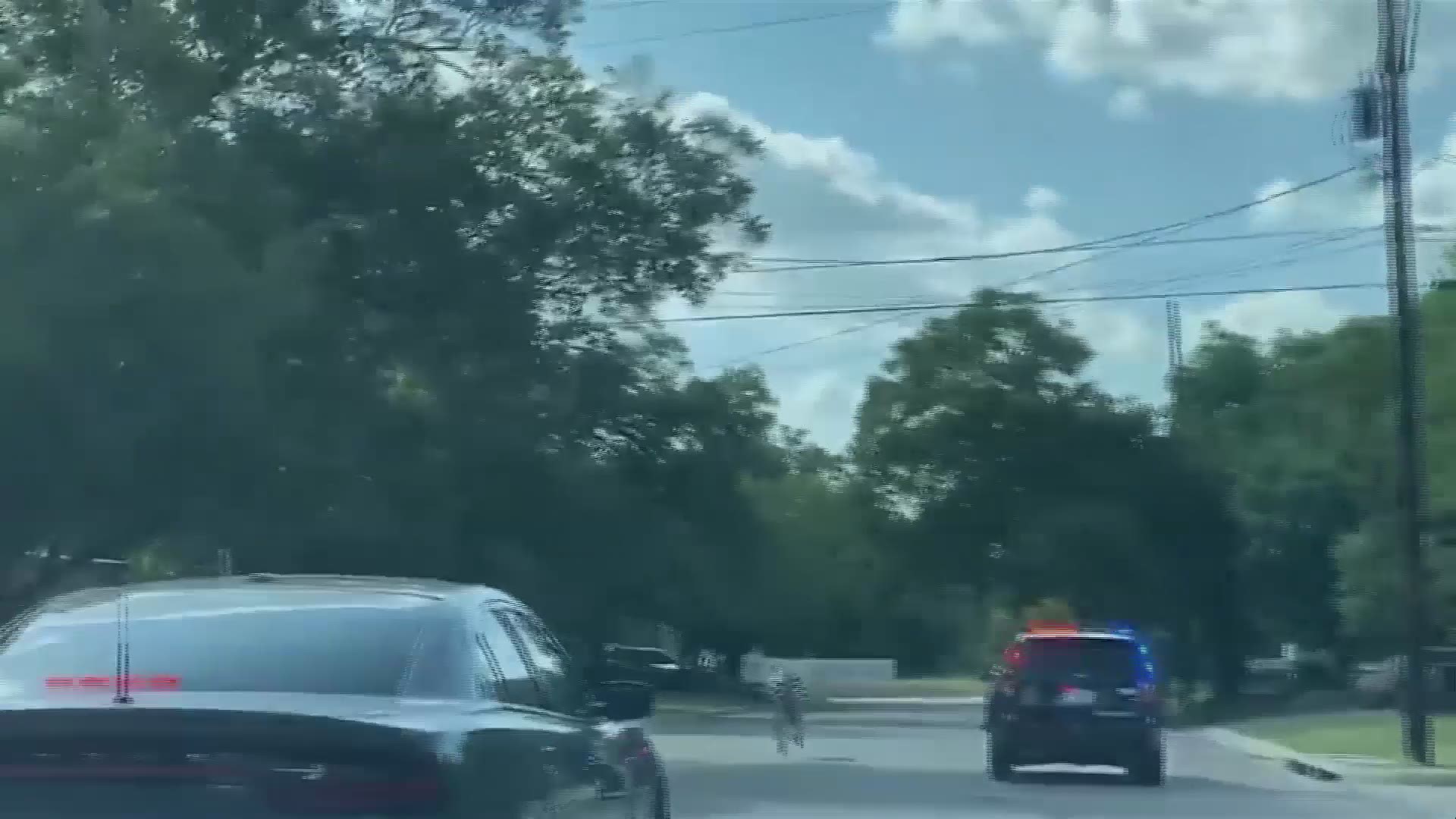 Two zebras led police on a wild chase through New Braunfels, but later died after they were caught. Luis De Leon spoke to a veterinarian about a possible cause.