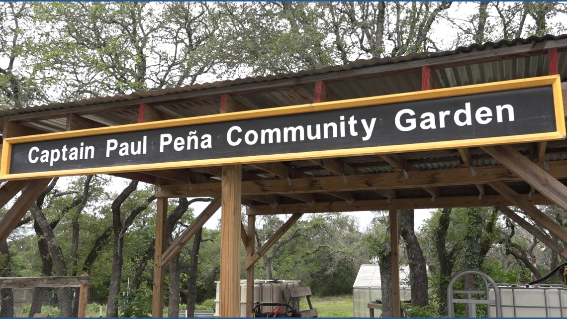 Austin veterans and volunteers unite to revitalize community garden in annual Day of Service