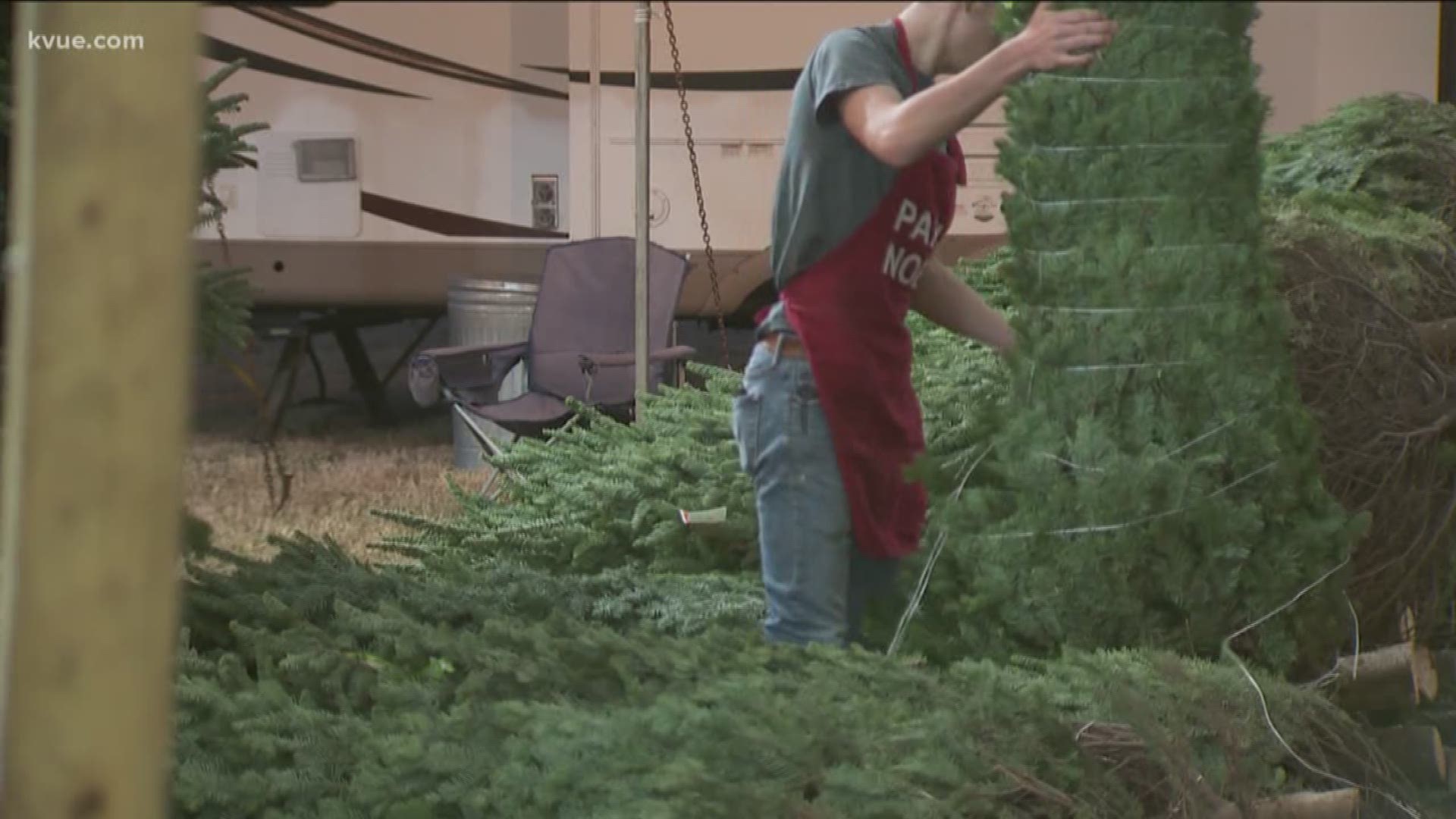 With Thanksgiving in the rearview, picking out the Christmas tree is the focus for many families. But as KVUE's Luis de Leon explains, prices on some trees are a lot high than last year.
