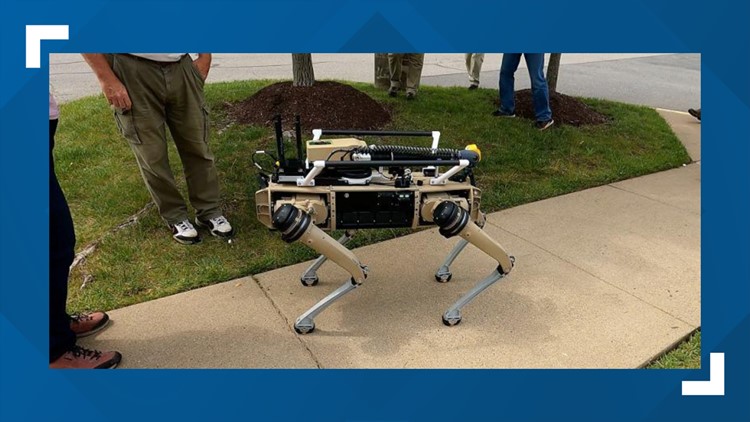 DIY quadruped robot brought to life for under $60