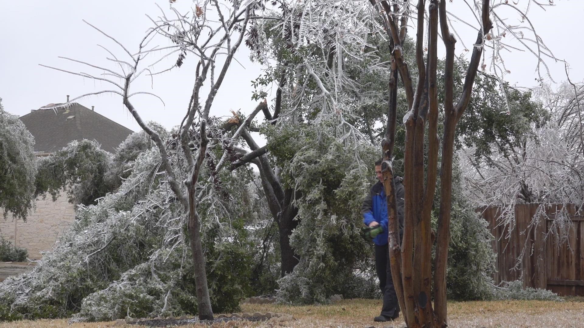 After the ice storm that Central Texas experienced, broken trees are everywhere. KVUE's Rob Evans shows how to properly cut and trim your broken trees.
