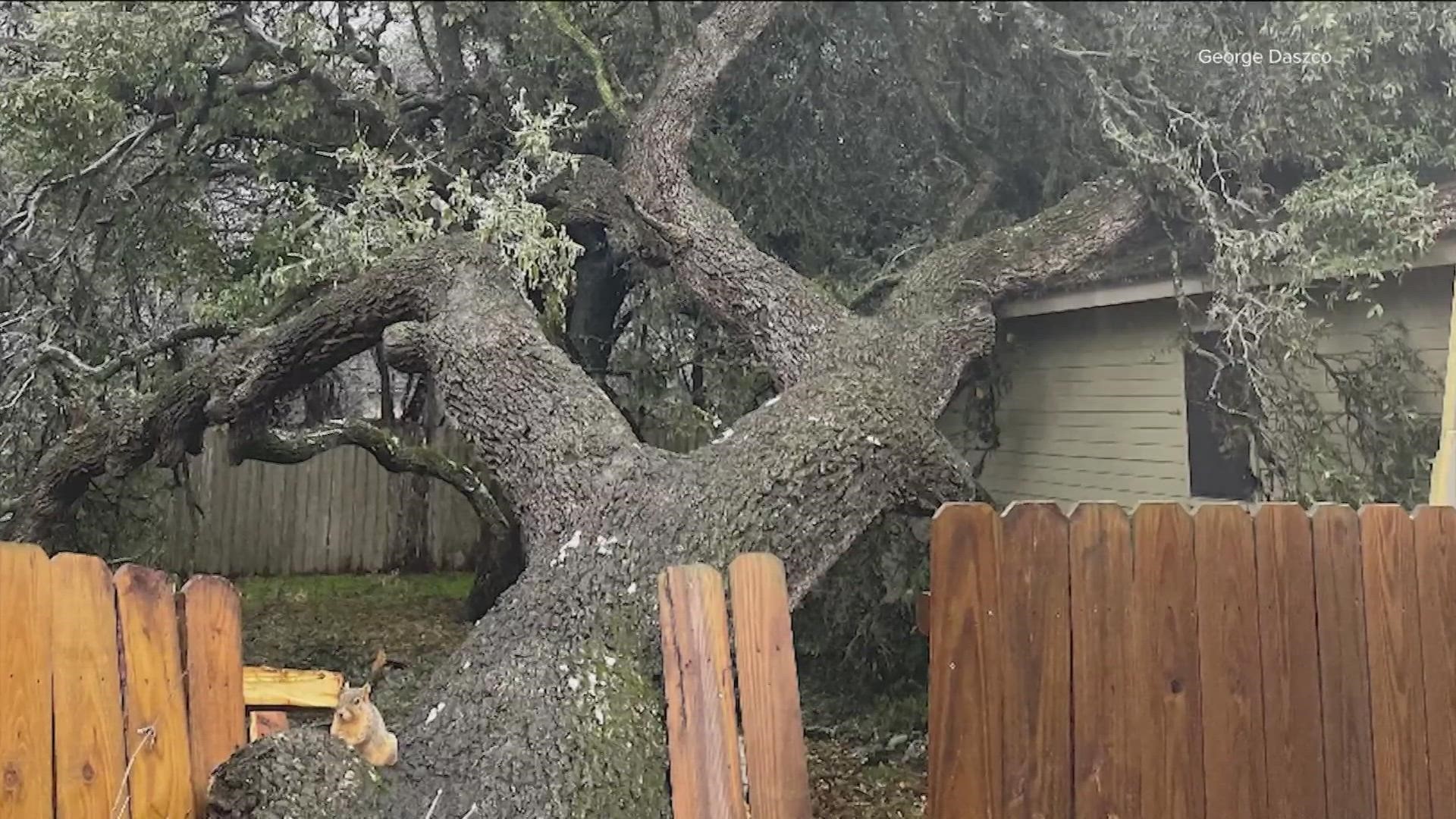 Residents are still cleaning up after this month's ice storm. But windy weather this week could affect weakened trees.