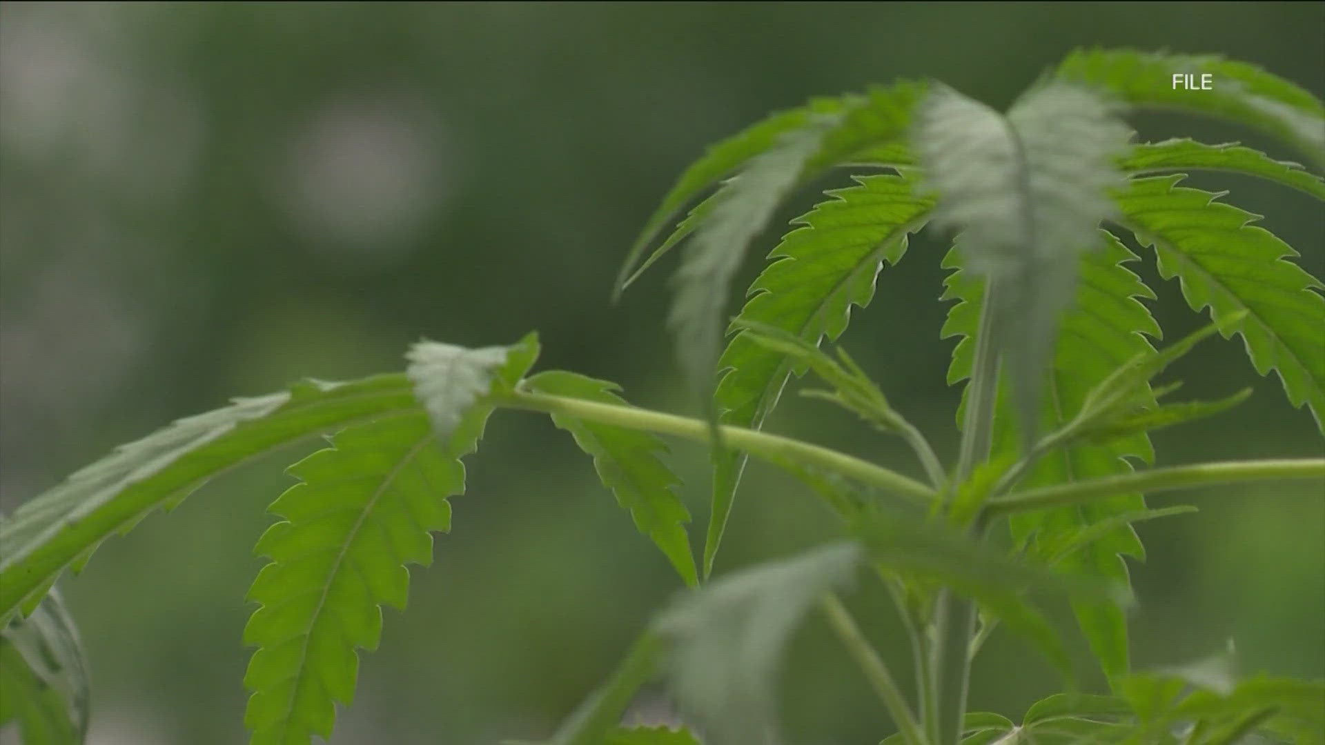 A district judge dismissed the lawsuit earlier this week, allowing the city to continue to deprioritize low-level marijuana offenses.