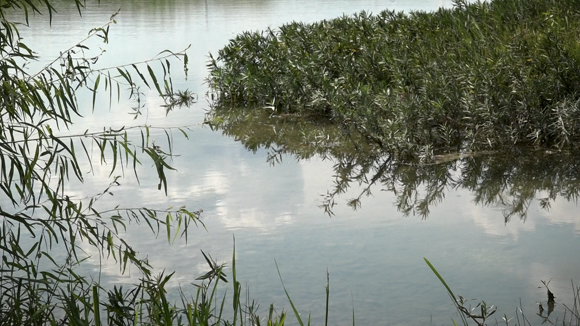 Dripping Springs allowed to discharge treated wastewater into Onion
