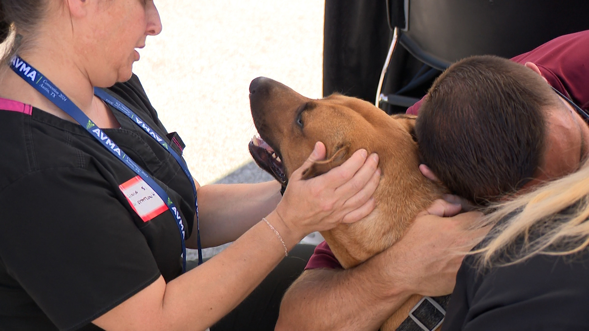 The Street Dog Coalition and vets with the AVMA partnered together to give unhoused pets vaccines, health check-ups and any other medical care they needed.