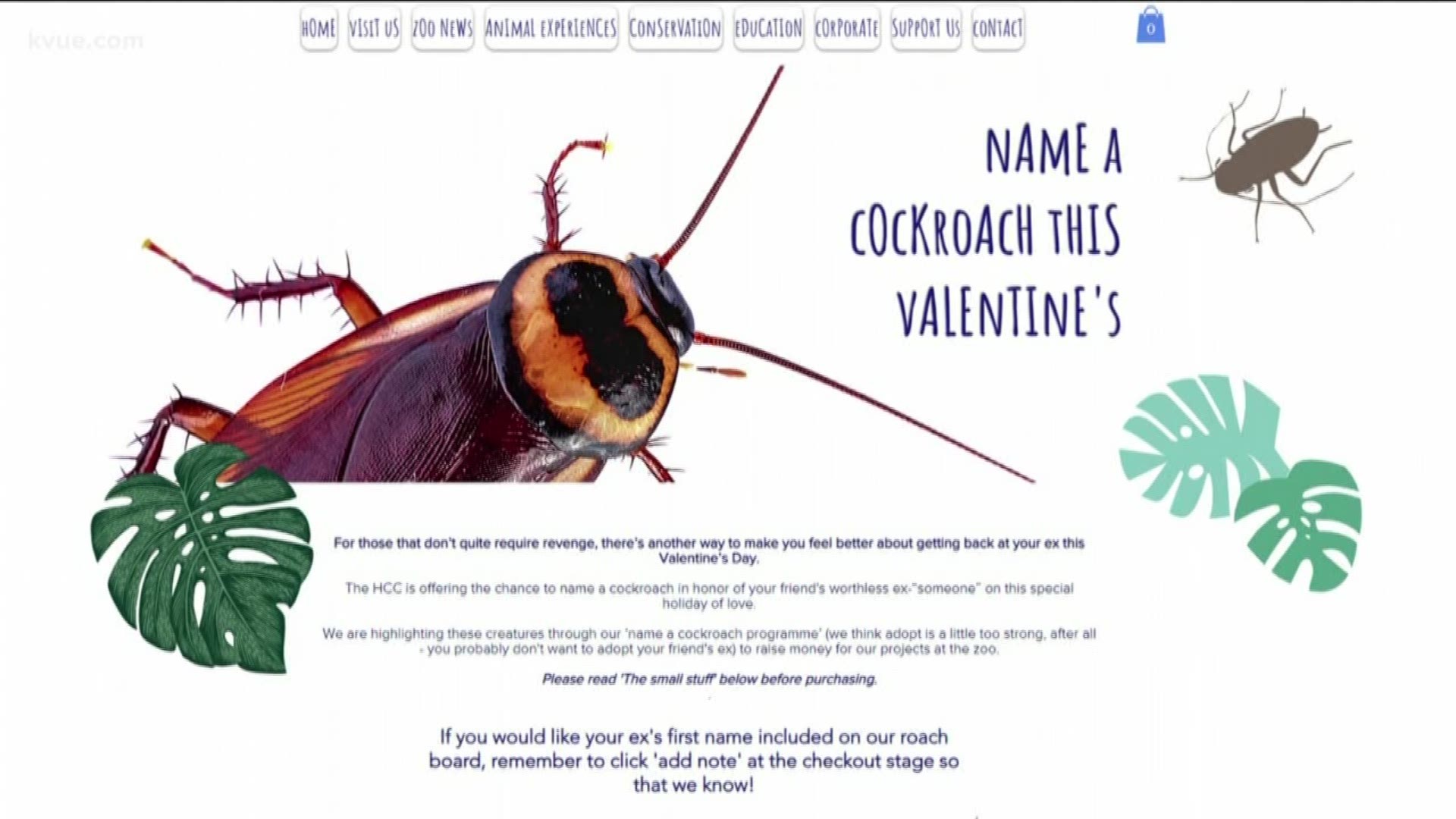 Name a cockroach after your ex Zoo offers the perfect geteven gift