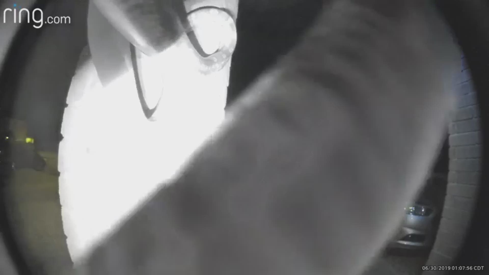 Video shows snake ringing doorbell at Texas home 