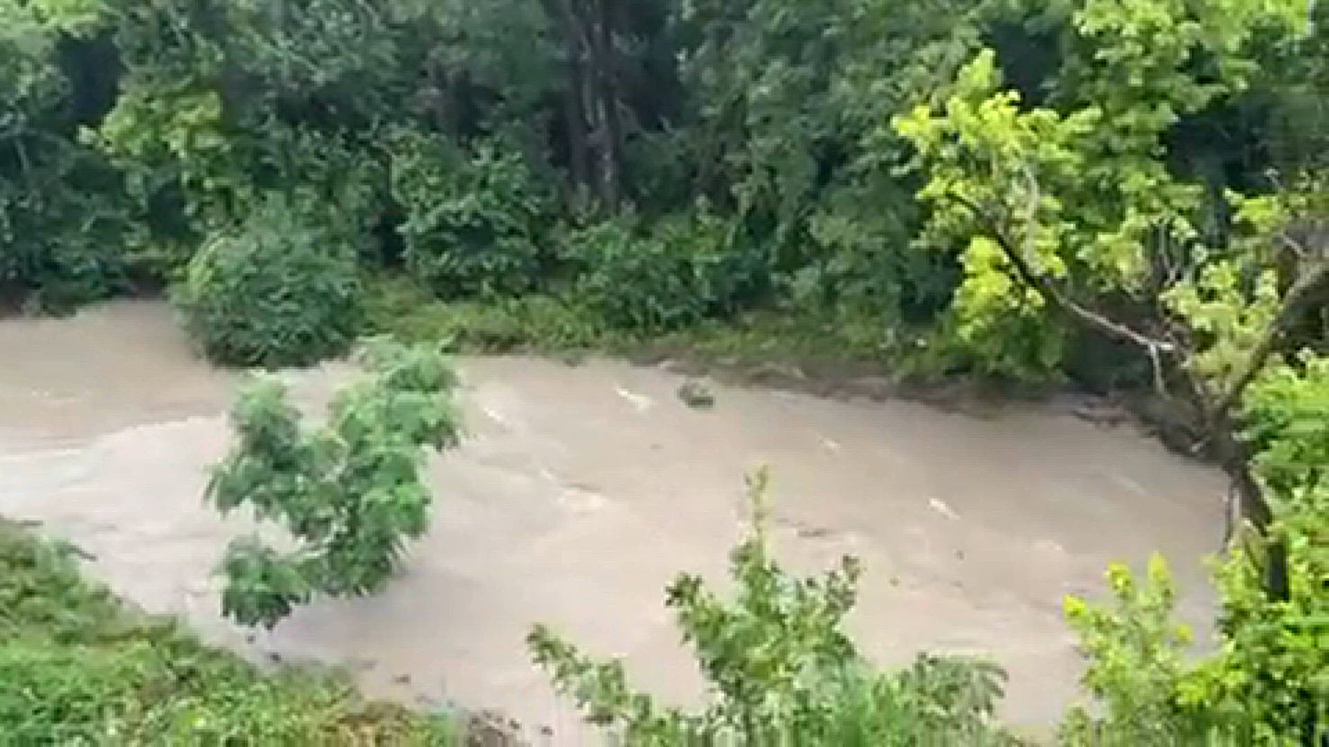 Within the last 30 minutes the Tannehill Creek has risen 10+ ft.
Credit: Alex Zankich