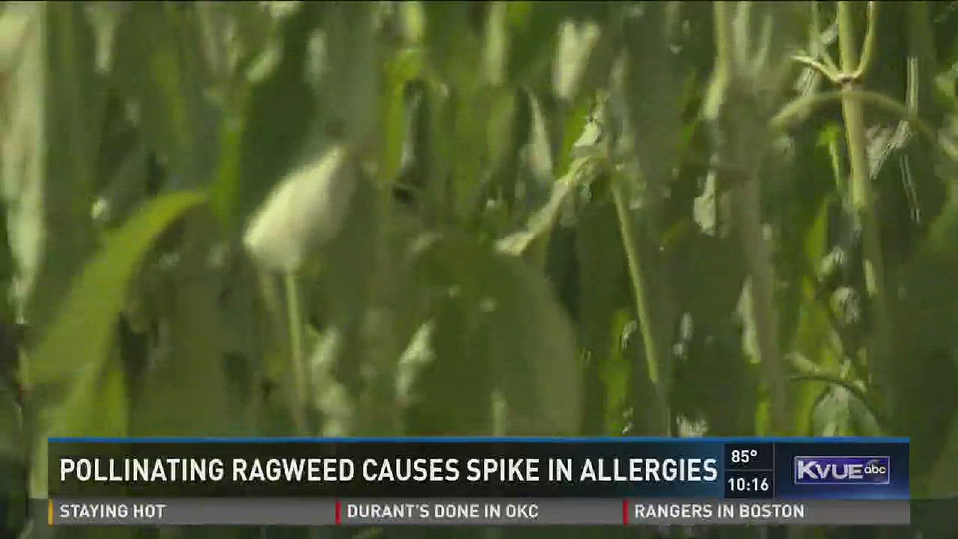 There seems to be no relief in sight for those suffering from allergies