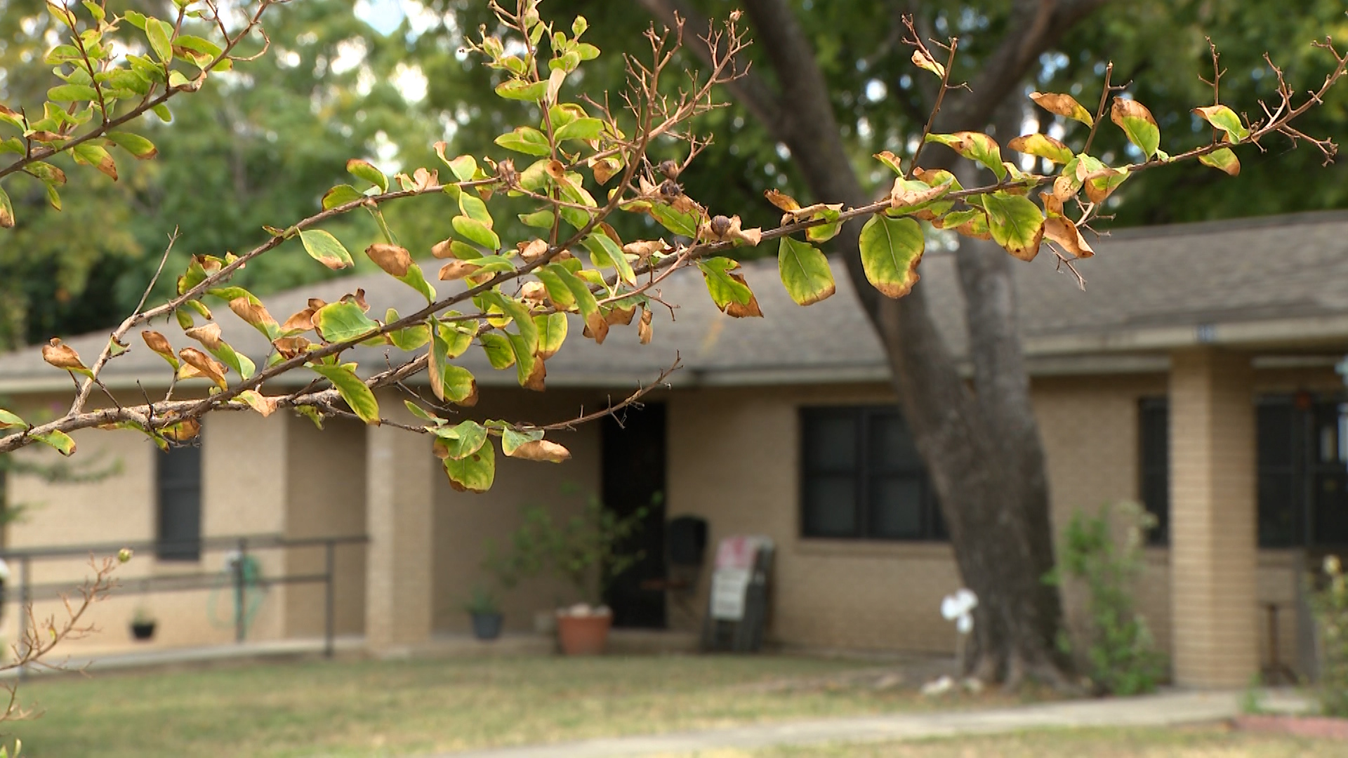 The San Marcos Housing Authority accepted pre-applications for Texas’ housing vouchers program, but only 250 applicants were allowed to submit.