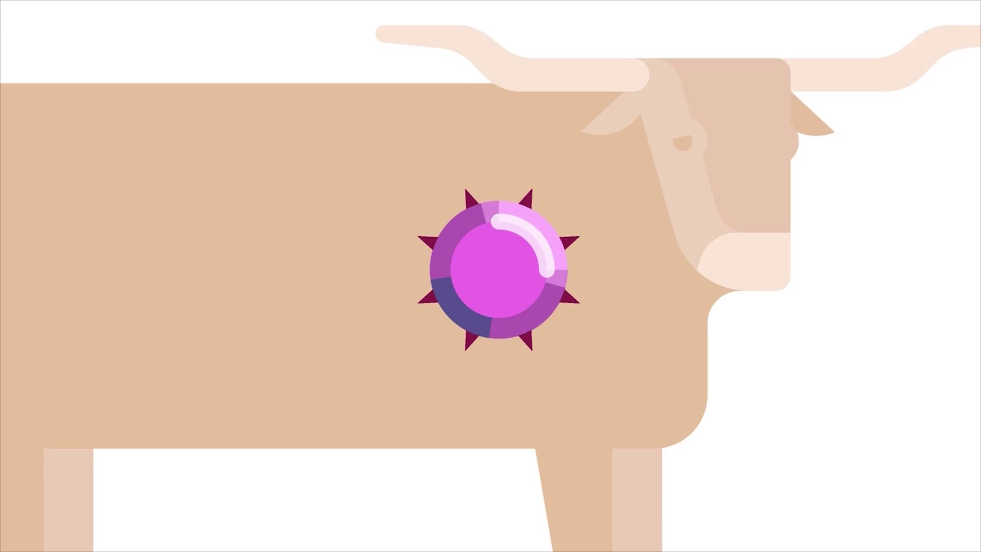 Researchers discovered the bovine leukemia virus Bevo XIV had contains a protein -- the same protein humans naturally produce that helps them fight Hepatitis C. The protein almost acts like a shield against Hepatitis C in humans. Here's a look at how that