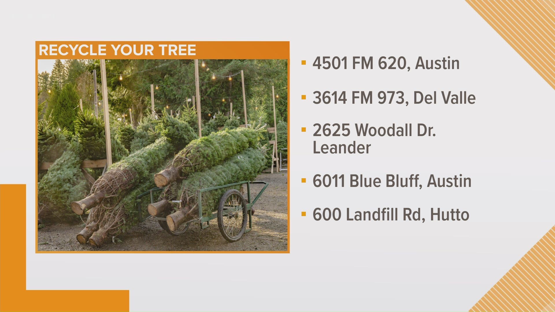 There are locations in both Travis and Williamson counties where you can drop off trees for recycling.