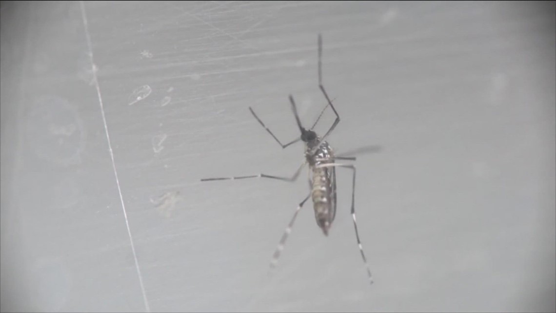 3 out of 9 Texas West Nile Virus cases facing rare, potentially fatal symptoms