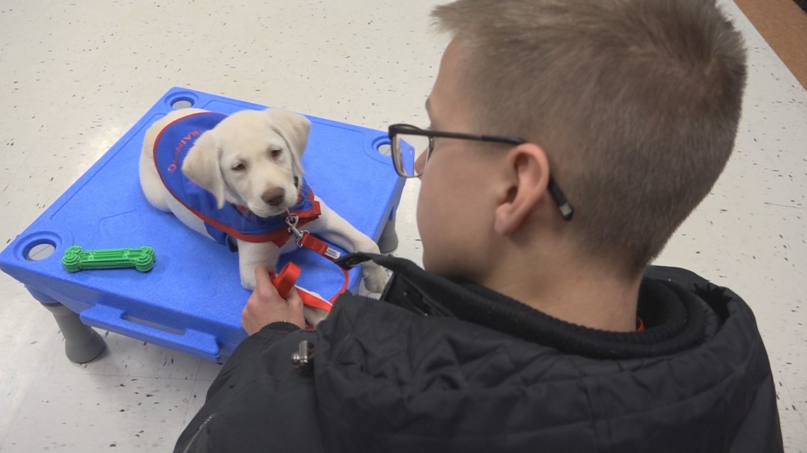 Puppy training class at Wimberley High School lets students teach dogs ...