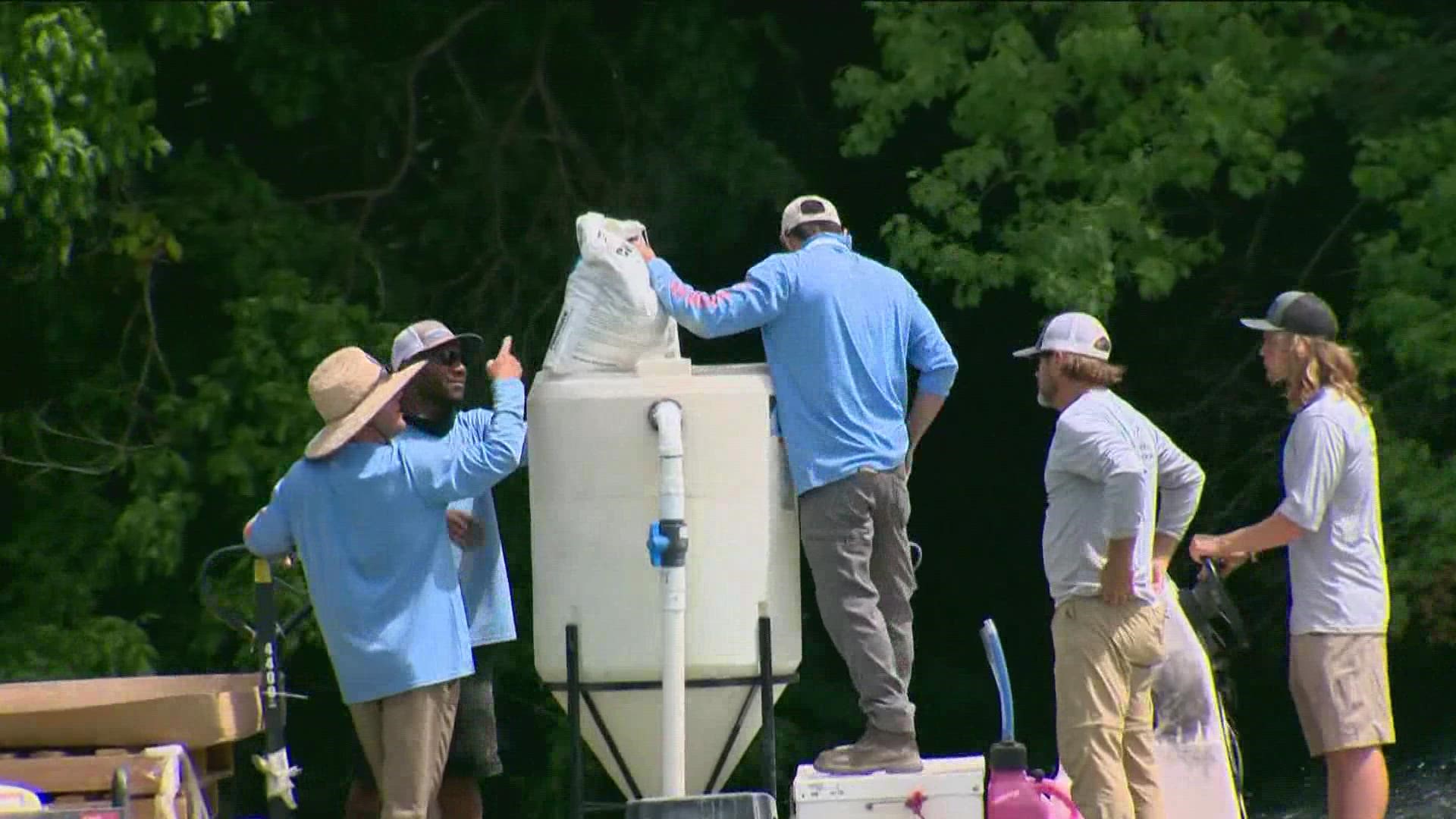 Austin crews are hoping to keep toxic algae on Lady Bird Lake from spreading this summer. Water samples at Red Bud Isle tested positive for the toxin.