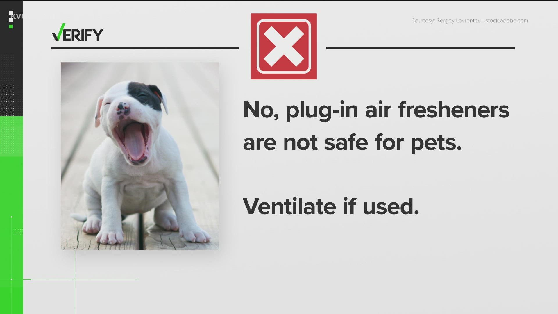A viewer reached out regarding plug-in air fresheners and pet safety.