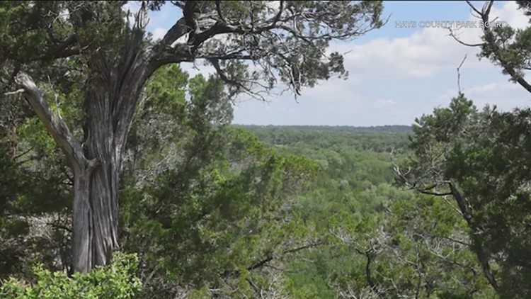 Hays County, Hill Country Conservancy and La Cima acquire Purgatory Creek Nature Preserve