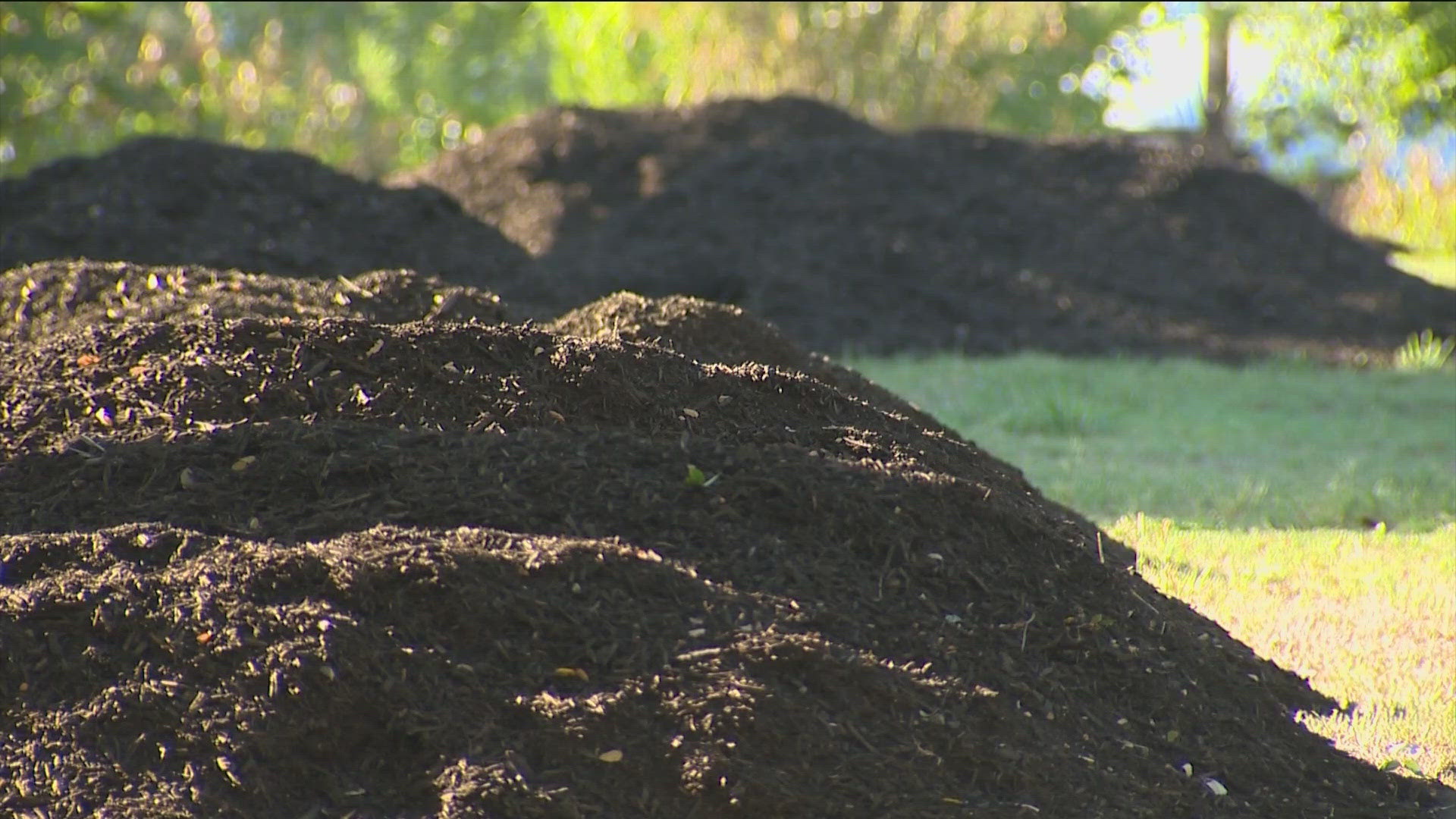 Pet stations and fresh mulch were added to the park by volunteers this week.