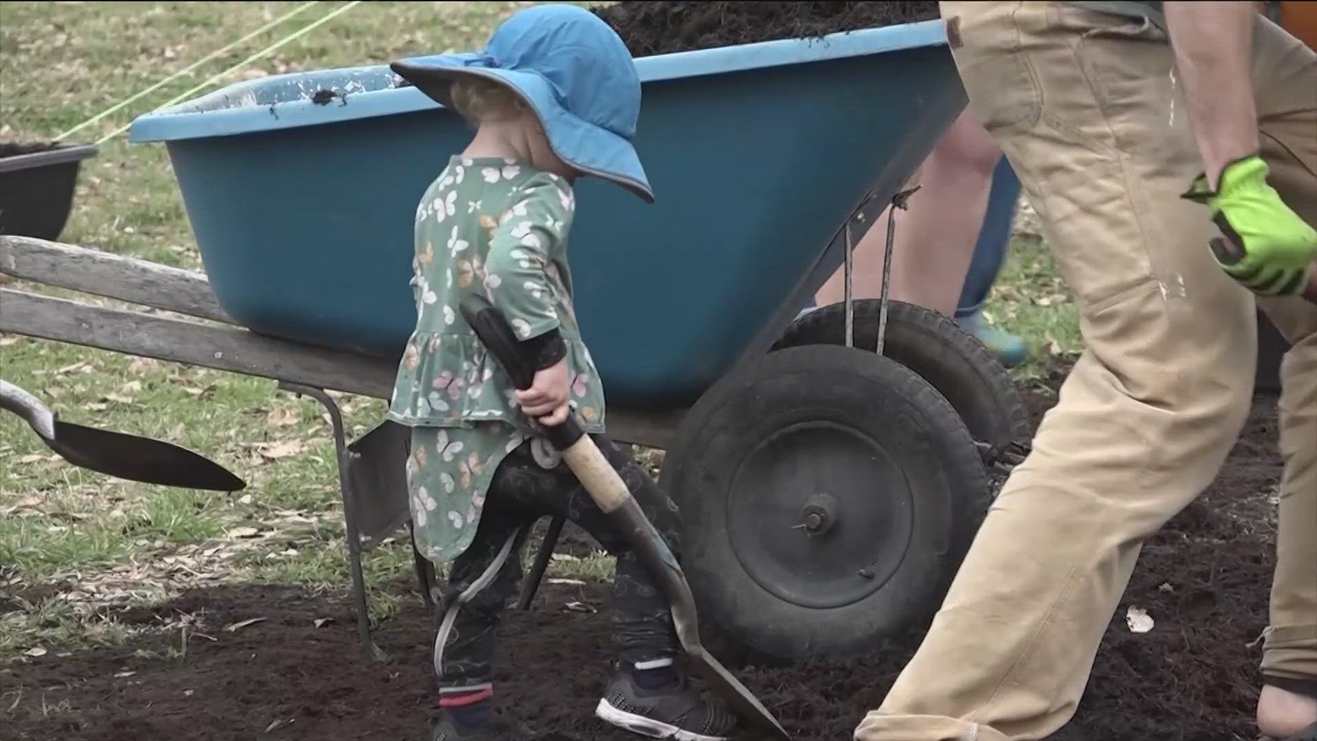 Through May 30, H-E-B is offering up several $5,000 grants to nonprofits through its "Trees for Texans" program.