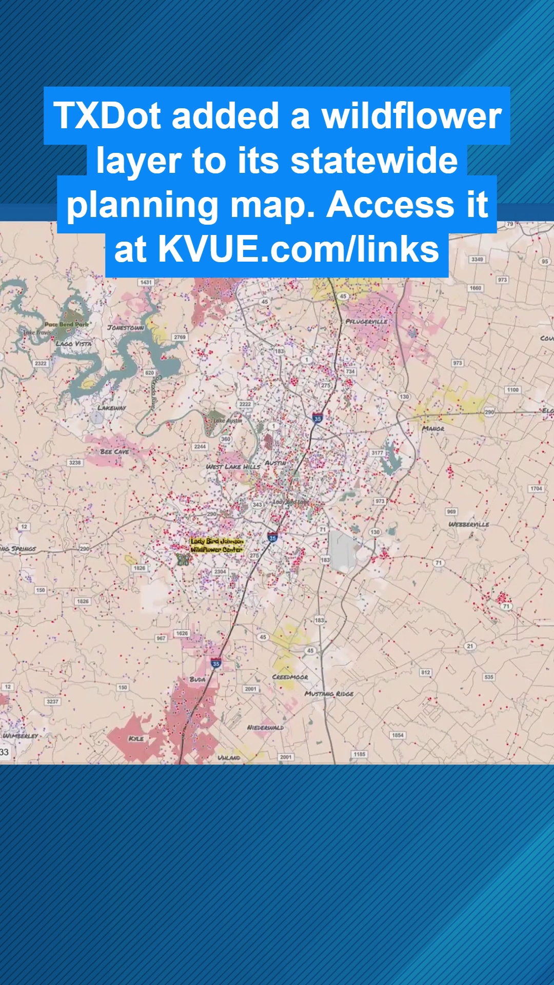 New tool helps find wildflower blooms across Texas | kvue.com