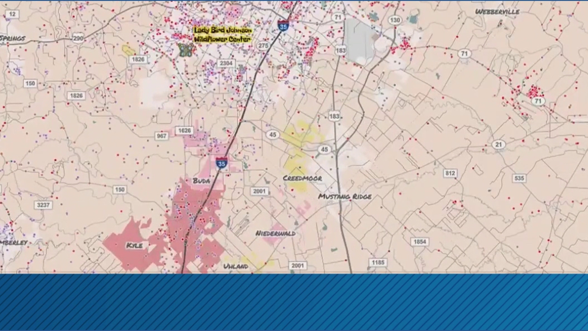 New tool helps find wildflower blooms across Texas | kvue.com