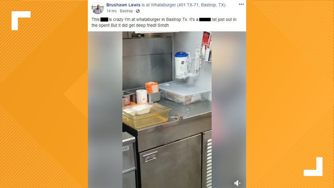 Video shows mouse jumping into deep fryer at Bastrop Whataburger | kvue.com