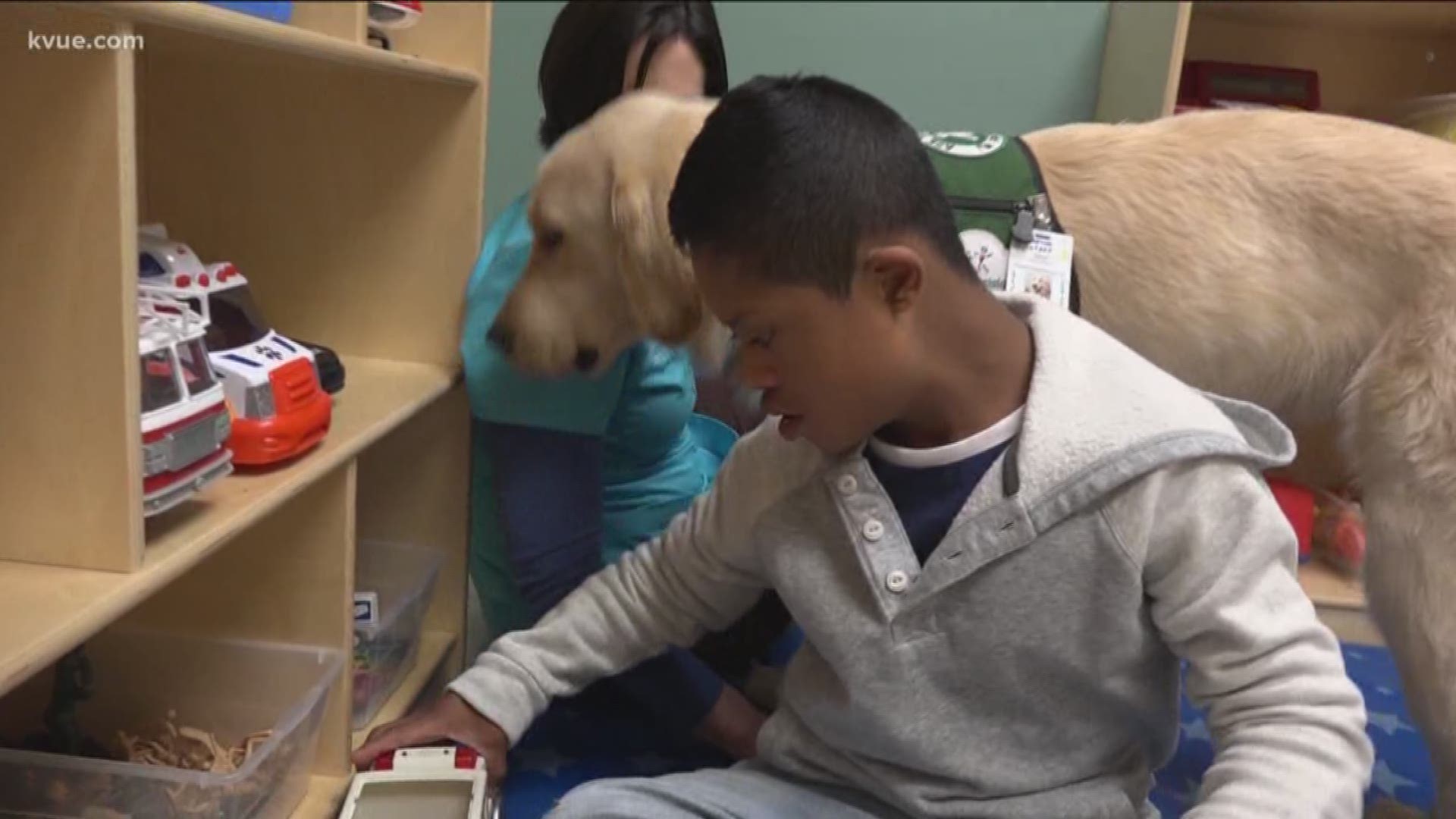 Who doesn't love a therapy dog? An Austin hospital's therapy dog that visits kids with needs is the cutest thing you will see all day. KVUE's Rebeca Trejo met "Solo" and one of his patients.