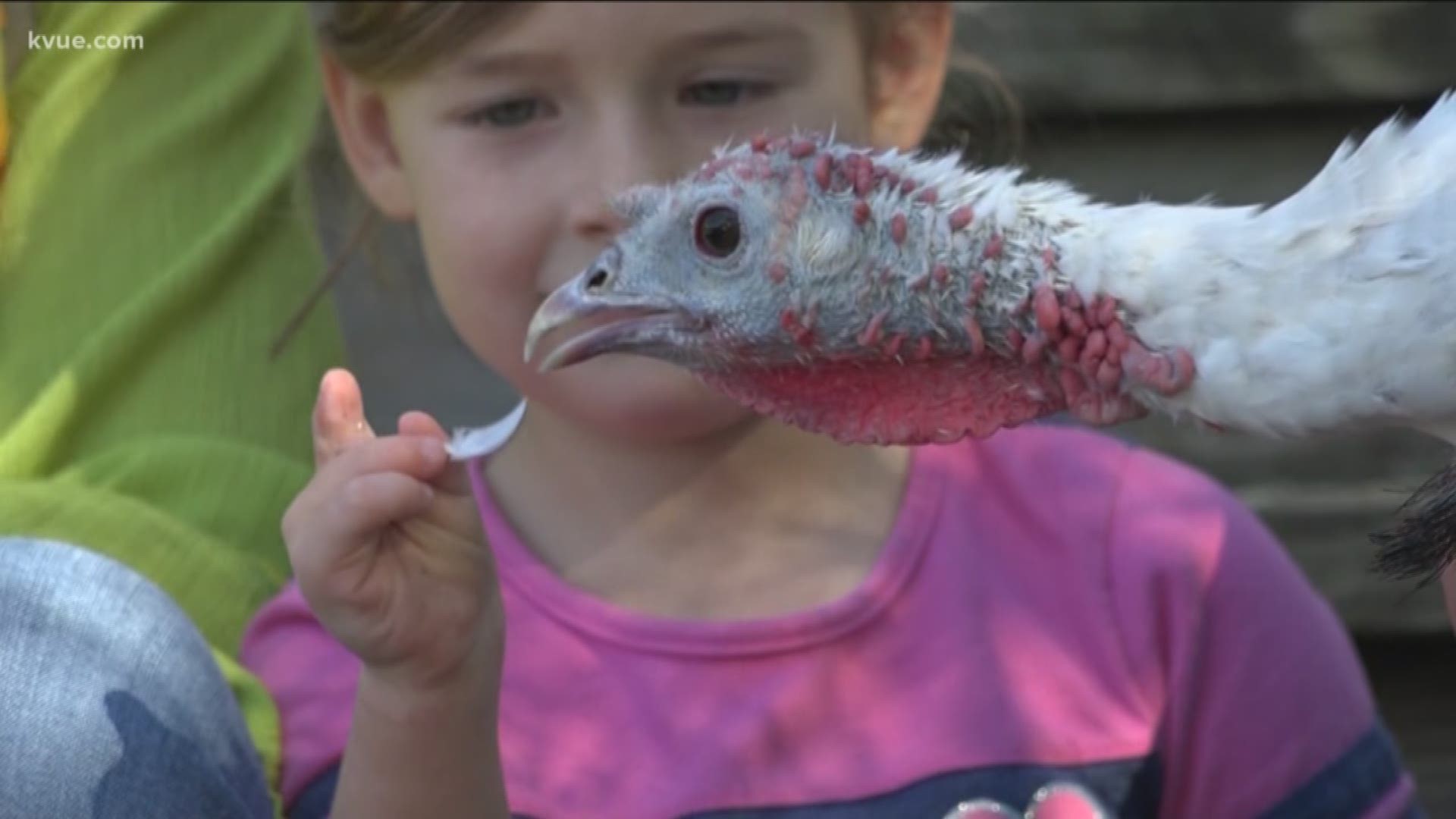 Touching and cuddling with these colorful fowl can bring a boost of confidence to some very special kids.