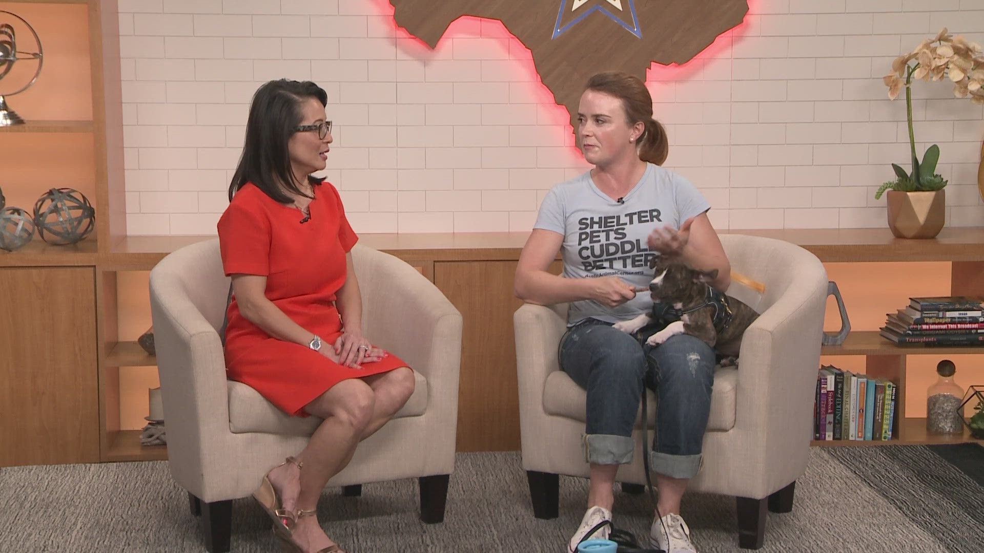 Every week, KVUE partners with a Central Texas animal shelters to feature pets looking for homes.