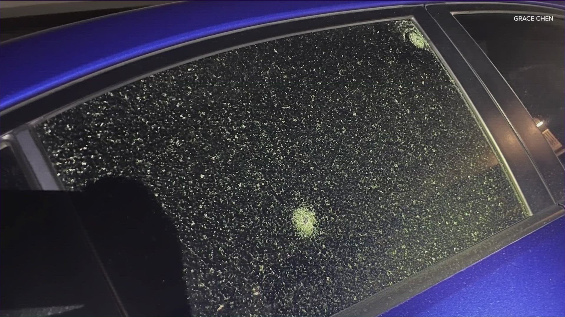 Round Rock police are investigating after someone damaged at least five cars with a BB gun.