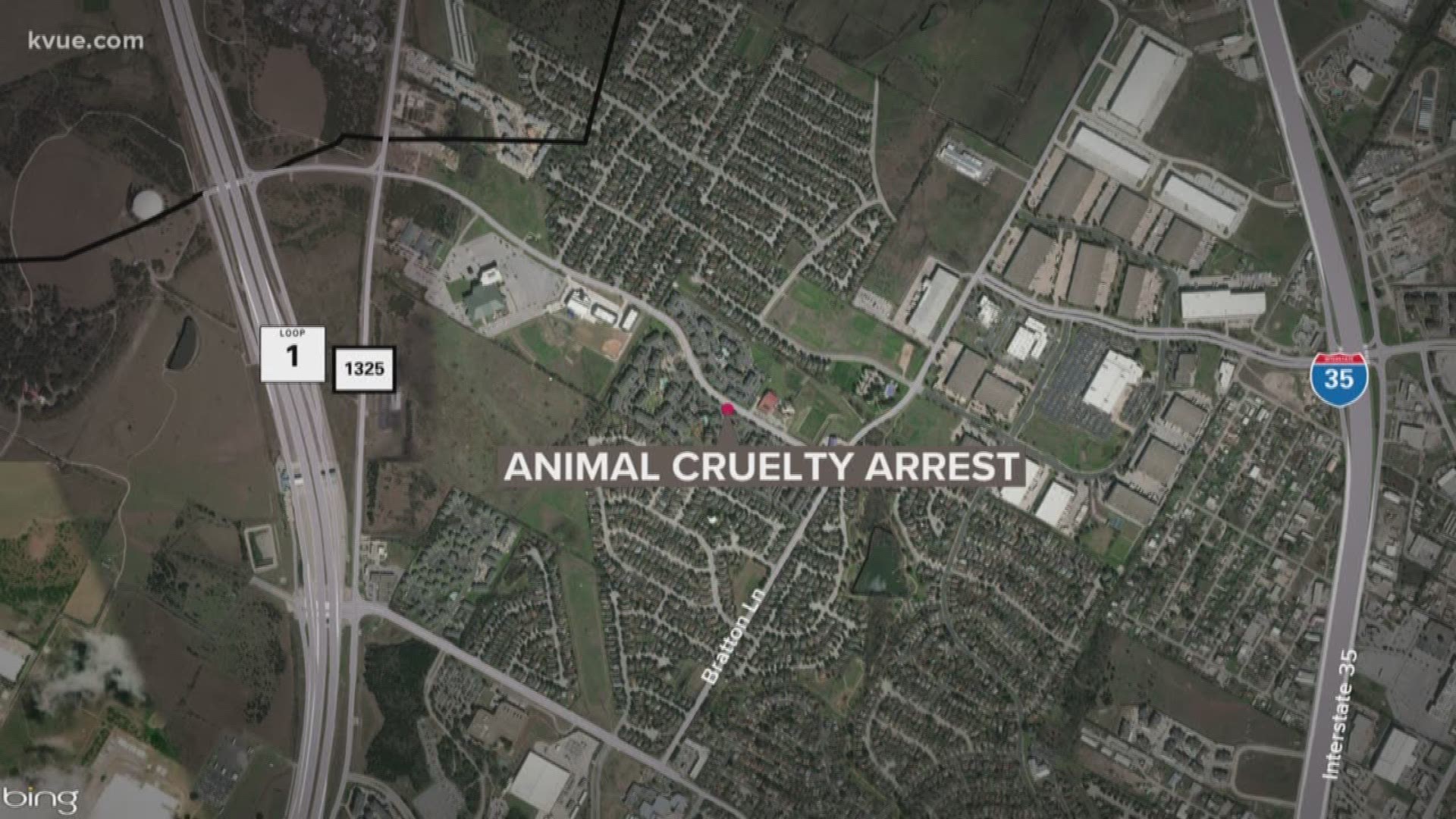 A man is accused of killing a pet rabbit in North Austin.