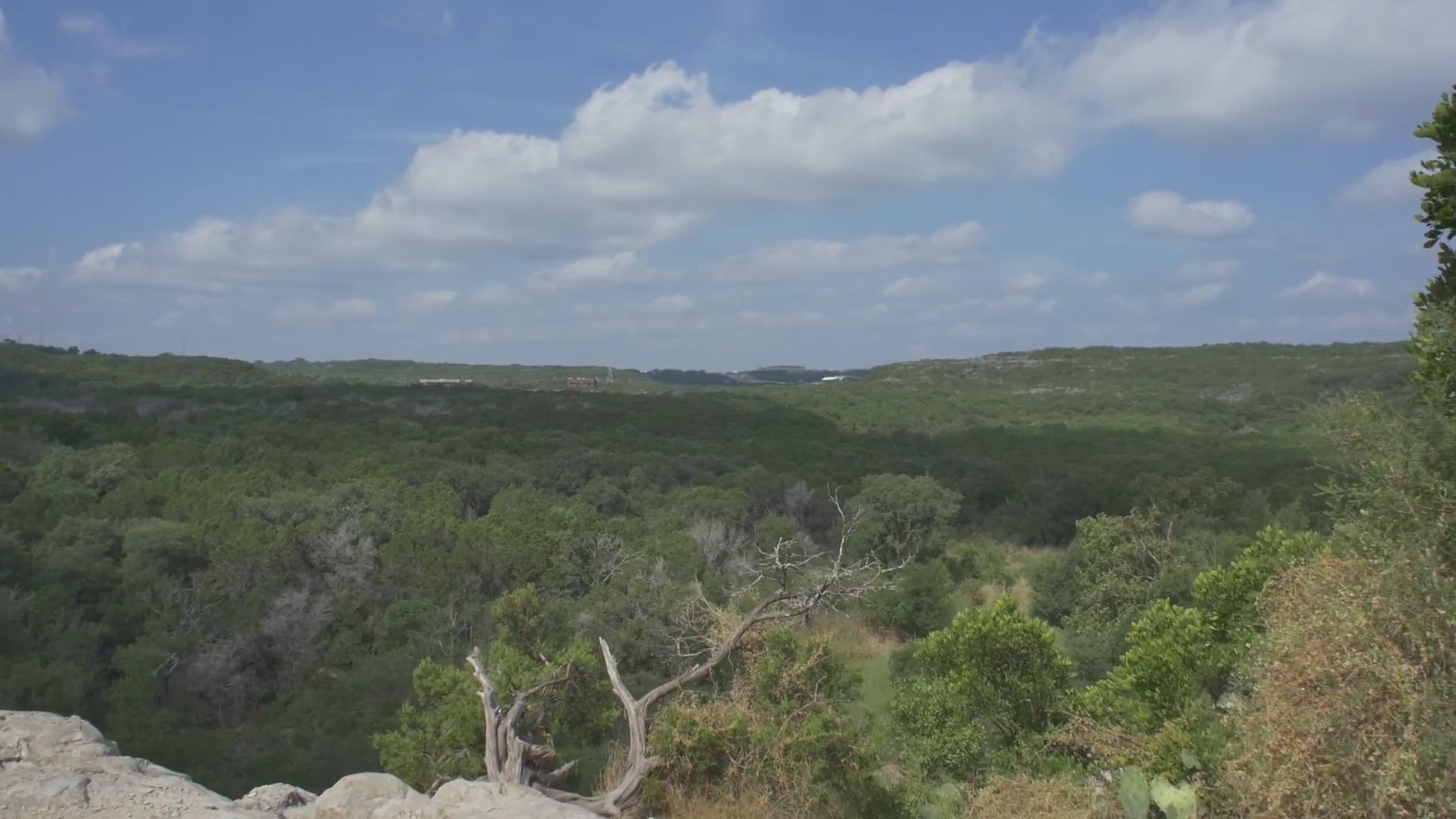 A video from Austin Parks Foundation about the important place parks hold for the city and people of Austin, and how APF helps maintain and improve them.